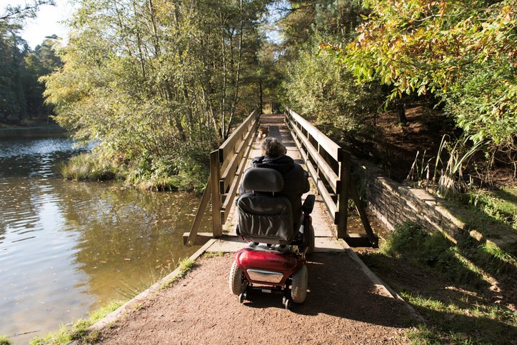 A Person in a Wheelchair Exploring a Park | Mobility Gear